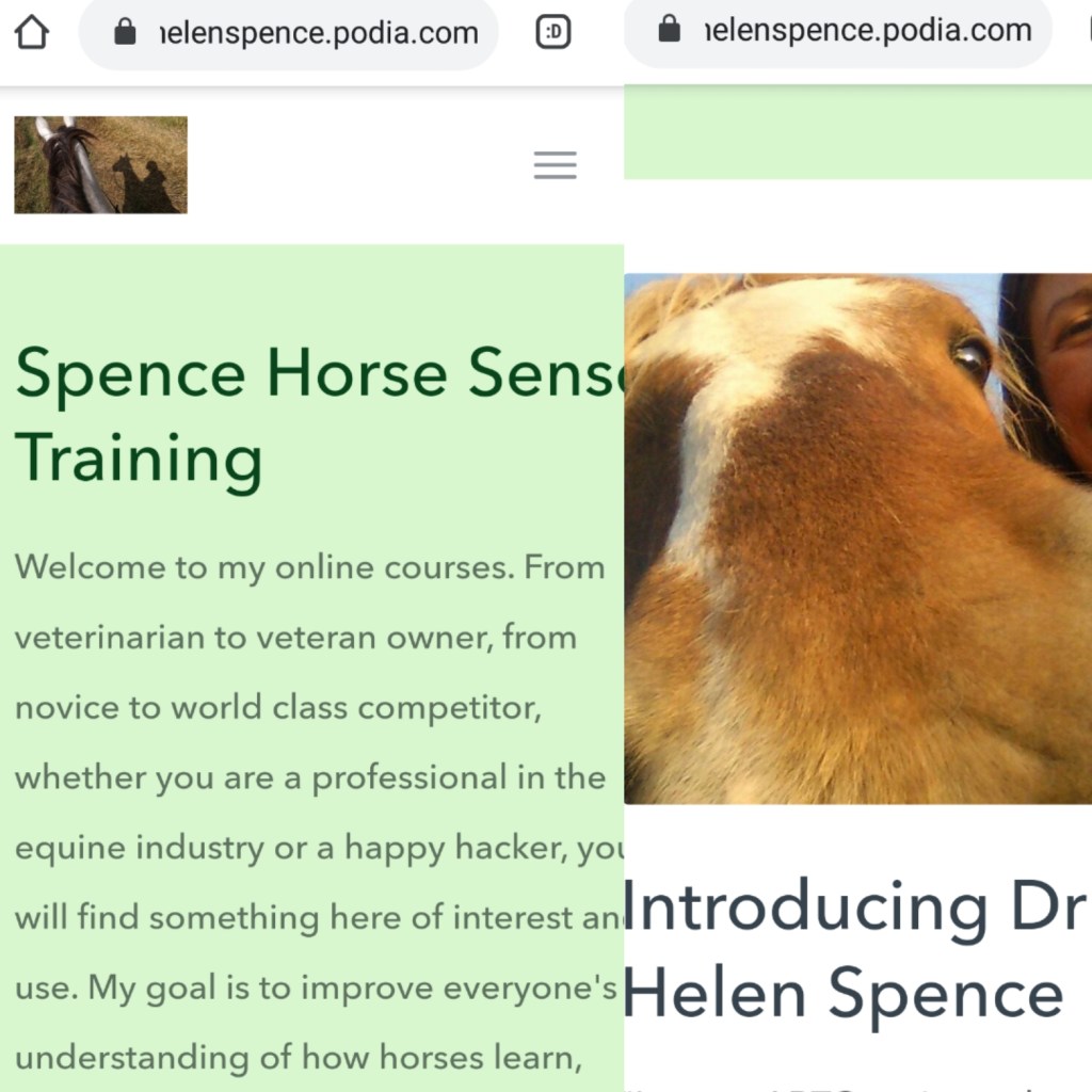 May the Horse be With You- horse centred learning with Spence Horse&nbsp;Sense